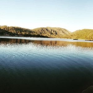 Meet your Posher, Kristine